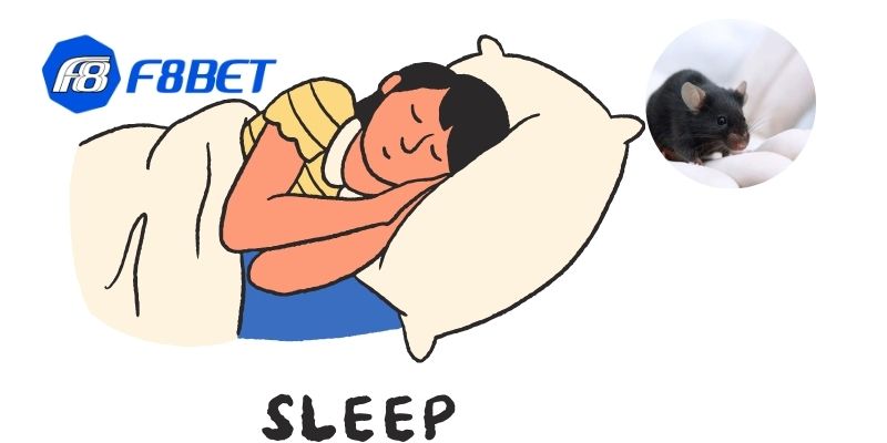 Nằm mơ thấy chuột là điềm báo về tài chính cho người chơi