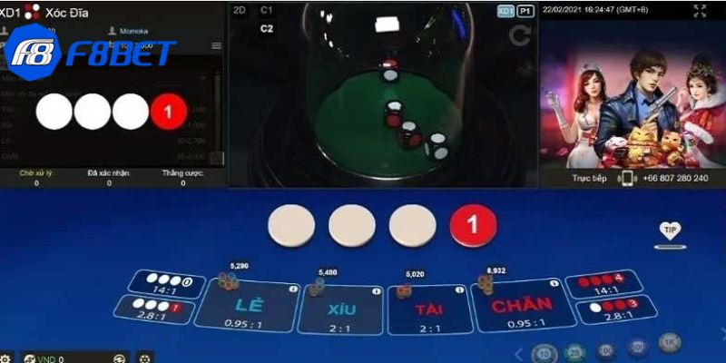 thuật toán xóc đĩa