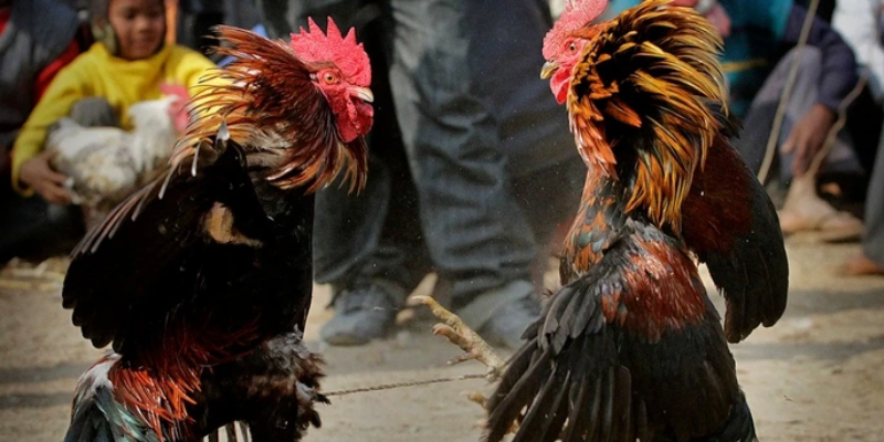 tinh-minh-bach-va-cong-bang-la-tieu-chi-hang-dau-tai-33win