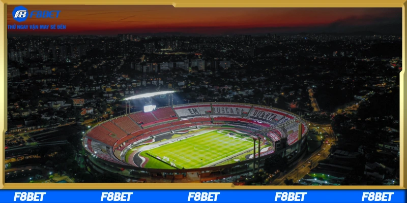 Cách cược thắng lớn mỗi ngày