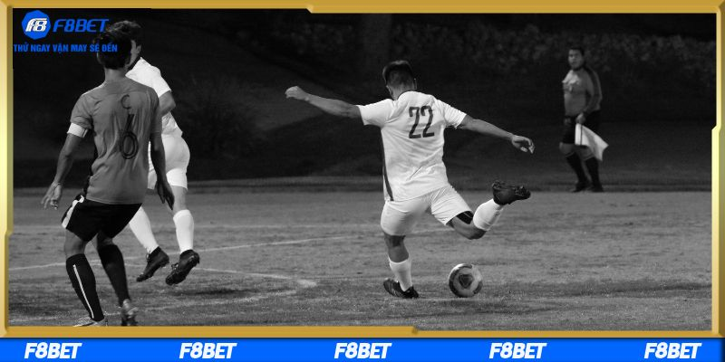 Cách tham gia cược hiệu quả từ nền tảng