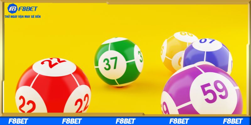 Tổng hợp dữ liệu và cách soi chạm